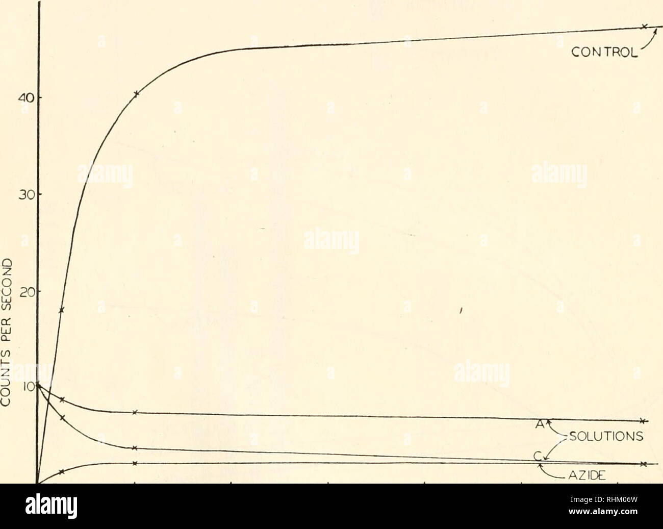. Il bollettino biologico. Biologia; Zoologia; biologia; biologia marina. 144 SALLY KELLY aggiunta di acido succinico e acidi fumarico sono stati coronati da successo solo quando gli intermedi sono stati presenti dall'inizio insieme con l'inibitore (Fig. 2). Questi risultati suggeriscono che il metallo pesante, enzimi deidrogenasi, e glycolases funzionano in Ascophyllum segmenti. Anaerobicamente i segmenti utilizzato acido malico, glucosio e acido piruvico, nell'ordine dato, mentre respirando in azoto quando la produzione di diossido di carbonio è stata seguita da un tampone bicarbonato. La quantità di iodio131 ripreso da van't Hoff wa di mare Foto Stock