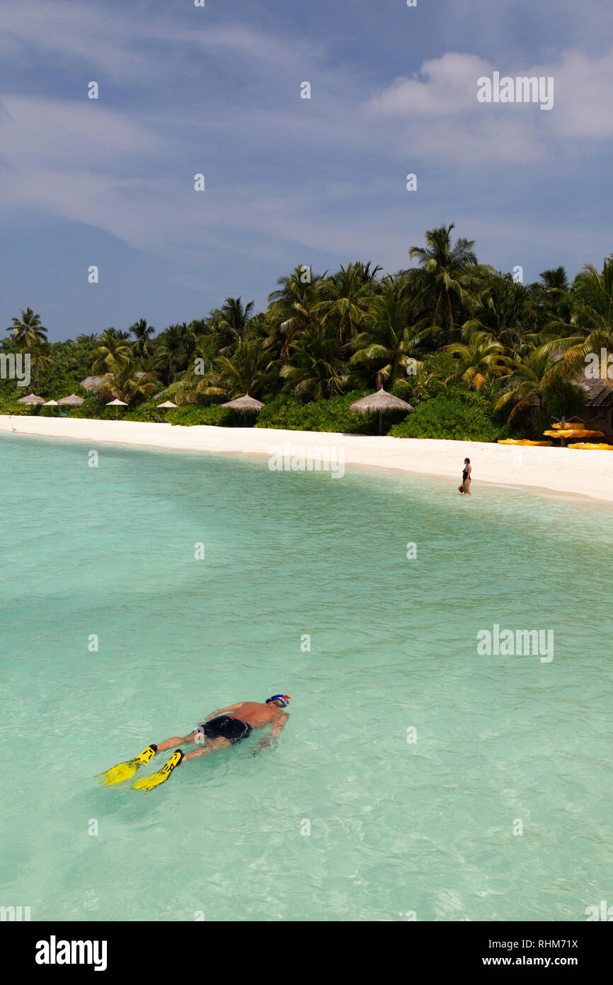Maldive snorkeling - un turista di fare snorkeling dalla spiaggia, Veligandu Island, Rasdhoo atoll, Maldive Asia Foto Stock