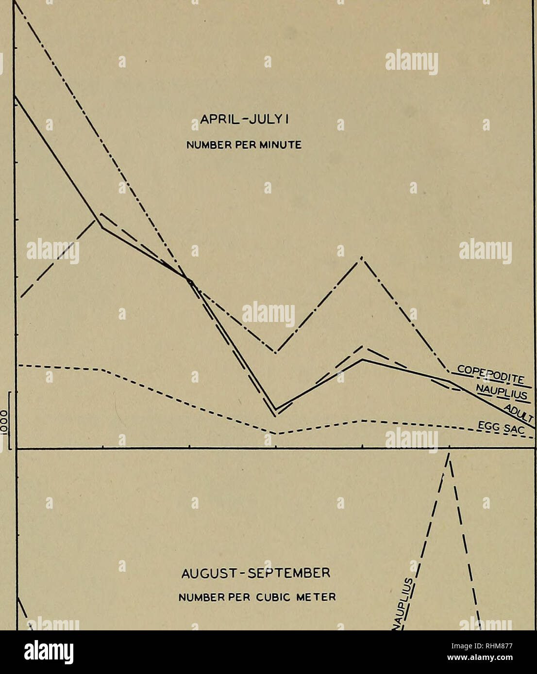 . Il bollettino biologico. Biologia; Zoologia; biologia marina. Aprile-LUGLIO I NUMERO AL MINUTO. Agosto-settembre numero per metro cubo /" . / / Se / Fig. 3. Numero medio degli adulti e dei giovani di O. similis in sette sezioni essere- tween di Casco Bay e Cape Spencer nel 1932. Sezioni: A. Casco Bay (stazioni 23^-25^, 26) ; B. Penobscot Bay (stazioni 27-29) ; C. Mt. Deserto (stazioni 17, 30-31); D. alci Peak (stazioni 32-33) ; E. Passamaquoddy Bay (stazioni 5-SA, 35) ; F. Pt. Lipreau stazioni (13, 36-37) ; G. Cape Spencer (stazioni 9-11). 172. Si prega di notare che queste immagini vengono estratti Foto Stock