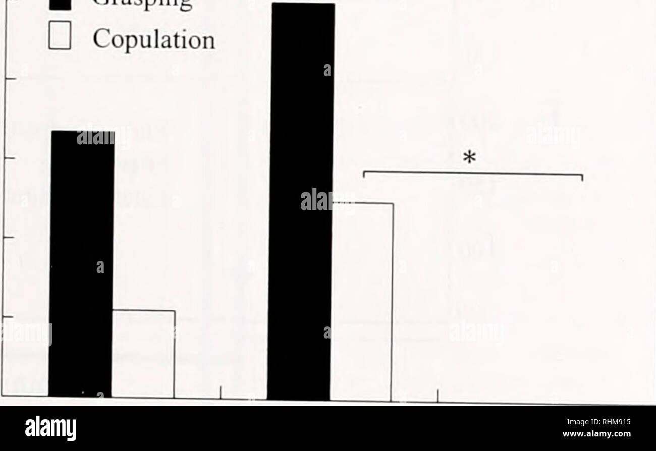 . Il bollettino biologico. Biologia; Zoologia; biologia; biologia marina. Sito di ricezione di feromone nel casco granchi 15 per rimuovere le proteine, 200-/J.I porzione di un 0,5% soluzione acquosa di acido 5-solfosalicilico soluzione è stato aggiunto al supernatante. Una 20-ju.l aliquota di questa soluzione è stata iniettata in un modello L 8500un Hitachi analizzatore di amminoacidi. Questo metodo ha permesso la determinazione delle concentrazioni di 20 comune di ammino acidi, nonché di fosfoserina (P-Ser), taurina (Tau). urea, cit- rulline (CIT), sarcosina (SAR), cv-aminoadipico acido (a-AAA), /3-alanina (j3-Ala), j3-amino isobutirrico acido (j3-AiBA), y-aminobutyr Foto Stock