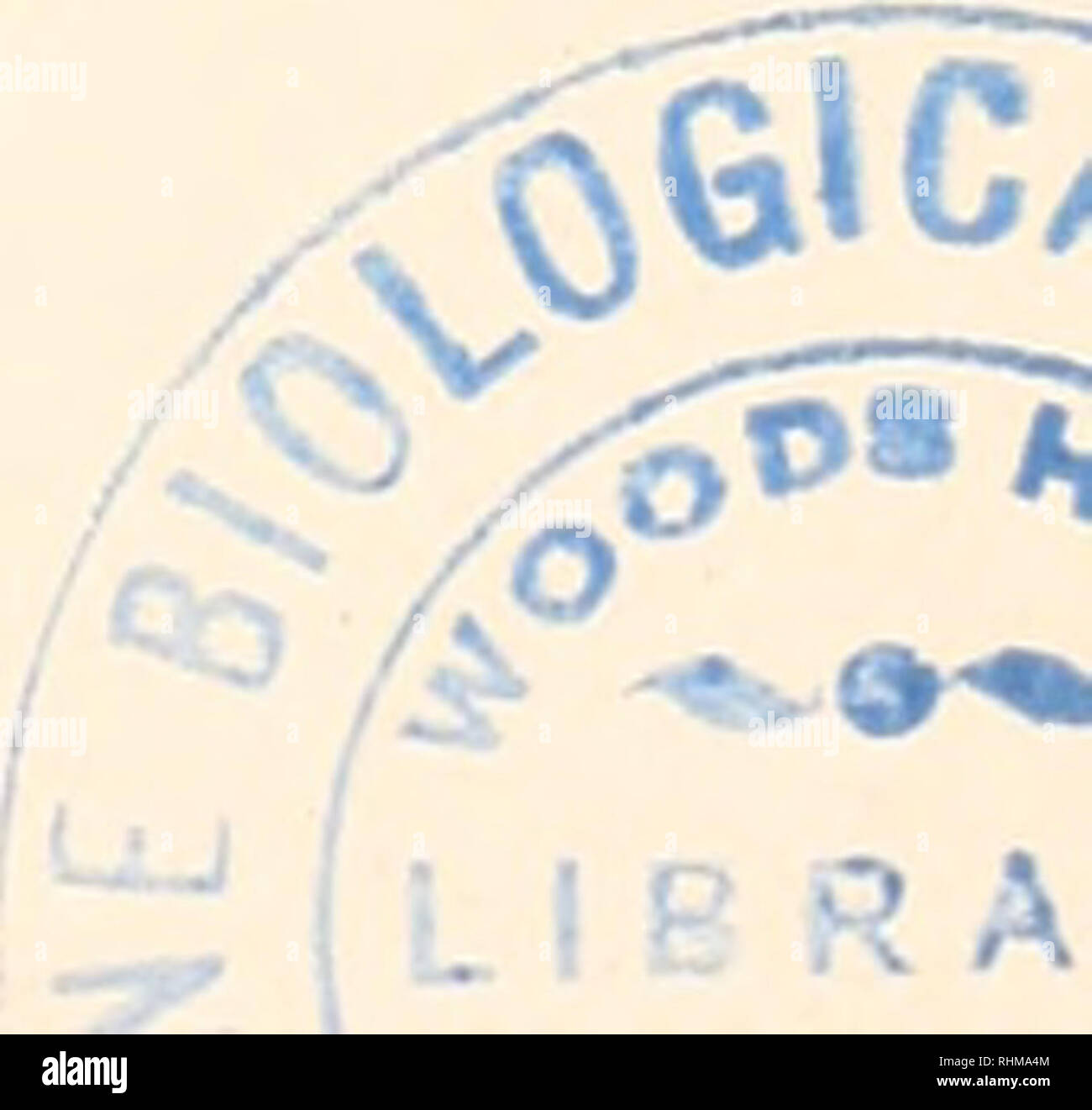 . Il bollettino biologico. Biologia; Zoologia; biologia; biologia marina. Indice degli autori, volumi LXI-LXXX 51 Redfield, A. C., e M. Florkin. La funzione respiratoria del sangue di Urechis caupo 1931 61 185 Redfield, A. C., e A. chiavi. La distribuzione di ammoniaca nelle acque del Golfo del Maine 1938 74 83 Redfield, A. C., H. P. Smith, e B. Ketchum. Il ciclo del fosforo organico nel Golfo del Maine 1937 73 421 Redfield, A. C. Vedere Florkin e Redfield 1931 61 422 Vedere verde e Redfield 1933 64 44 Vedere Ketchum e Redfield 1938 75 165 Renn, C. E. batteri e il ciclo del fosforo in mare Foto Stock