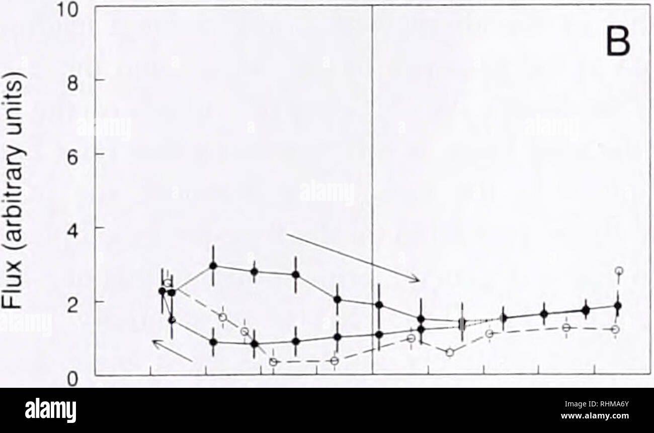 . Il bollettino biologico. Biologia; Zoologia; biologia; biologia marina. -25 -20 -15 -10 -5 0 5 10 15 20 25 angolo di incidenza (gradi)-Flusso canale protetto, Re = 2700. -25 -20 -15 -10 -50 5 10 15 20 25 angolo di incidenza (gradi) nella figura 7. Angolo-flusso specifico da un flusso-lama protetta al Re, = 2700. I cerchi aperti mostrano la risposta statica del modello; cerchi pieni, la risposta dinamica. Le barre verticali sono la deviazione standard di misura- zioni tra sette cicli, un indice di intensità di miscelazione turbolenta oltre il modello. (A) il Crest. (B) trogolo. Le frecce indicano l'ordine in cui Foto Stock