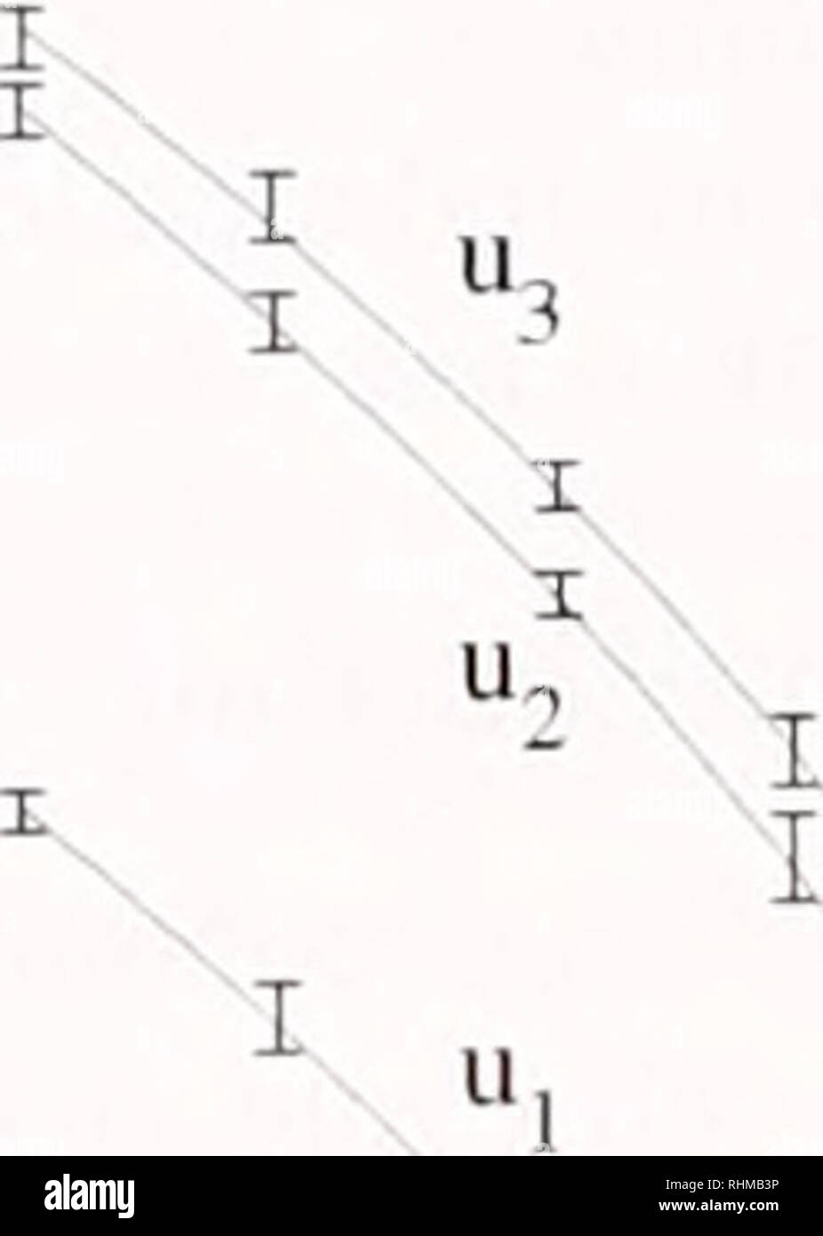 . Il bollettino biologico. Biologia; Zoologia; biologia; biologia marina. 108 K. YAMADA E K. MIHASHI Time-lapse microscopia video il corso del tempo di inizio di scissione è stata registrata per gruppi di uova fecondate (circa 30 in ciascun gruppo). Le uova sono stati fotografati con una telecamera a CCD (Hama- matsu, C2400) che è stato montato su una fase invertita- microscopio a contrasto e attaccato ad una videocassetta ri- corder (Sony, EVT-820). Mentre le uova fecondate sono state videoregistrate, era necessario per regolare la temperatura dell'ASW che scorreva attraverso il recipiente di osservazione. Per questo scopo, a casa termo- Foto Stock