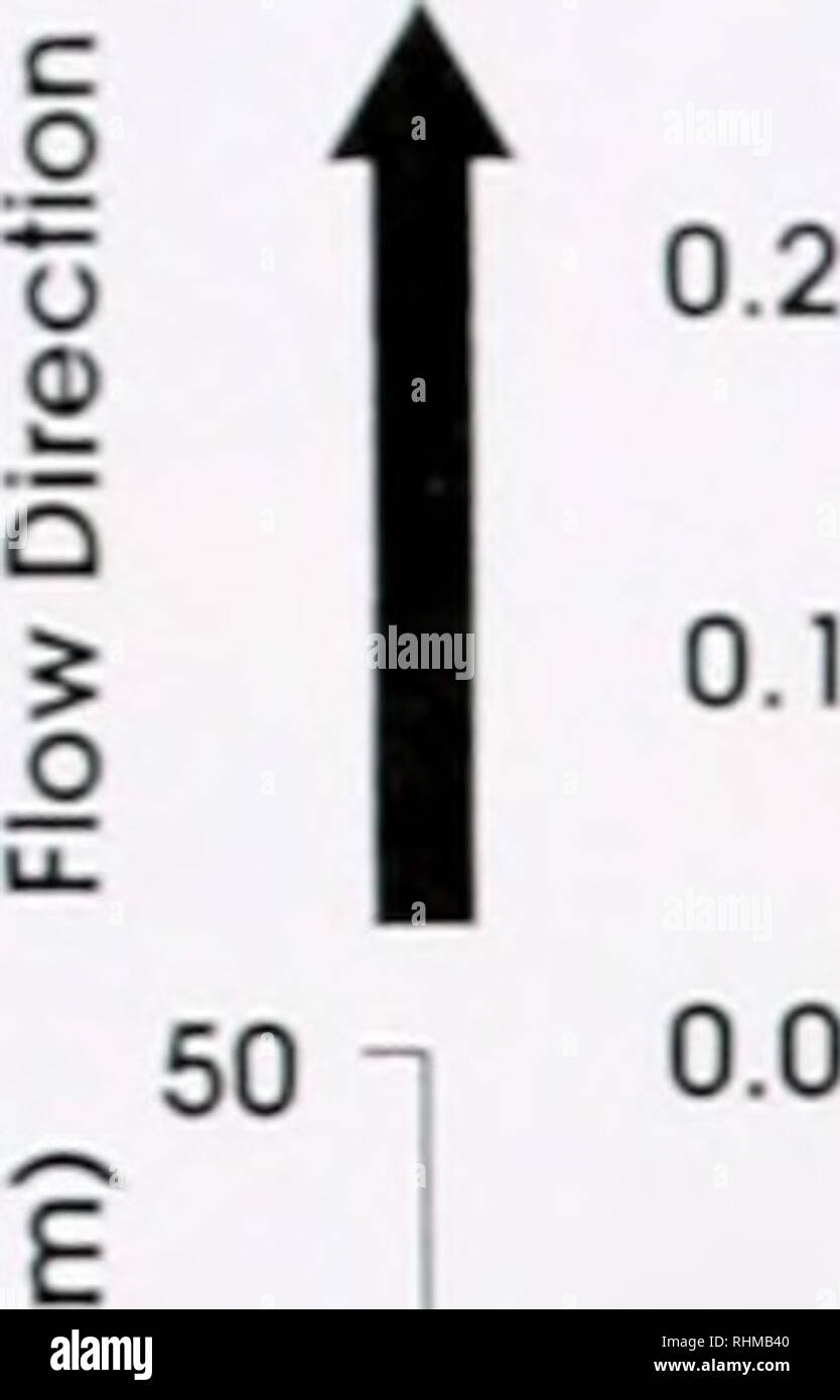 . Il bollettino biologico. Biologia; Zoologia; biologia; biologia marina. 172 R K X.IMMKR E C. A. BITMAN. Distanza dalla mezzeria (cm) 60 y=0cm Y=2cm y = 4cm y = 8 cm Y=10cm 60 -10-5 0 5 10 40 40 20 1 1 1 iiili • 20 JL^ jL. jliuii LJJJLJ! UL , J, .l.f. n 0 20 40 0 20 40 0 20 40 0 20 40 0 20 40 60 Distanza a valle dalla sorgente del pennacchio (c IsJ o en en i i i fluoresceina (mg/l) OoP o per £&GT;. b '- Per HI Y = 0 cm y = 2 cm y = 4 cm y = 6 cm 60 40 20 0 0 •^ 60 g 1 40 ?20 Jk 0 y ll, •i y ,?i i) lj mi 1 1 TTTT- % 0 a C 60 1 20 40 0 20 Y = 0 cm y = 40 0 20 40 ( 1 cm y = 2 cm ) 20 40 6 60 40 20 0 0 kl .)')& Foto Stock