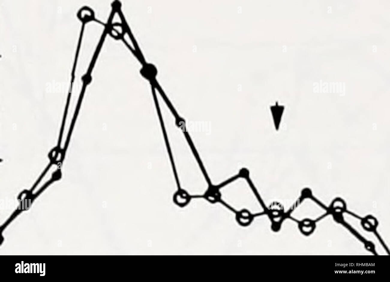 . Il bollettino biologico. Biologia; Zoologia; biologia; biologia marina. 0,01 0,03 0,05 0,07 Tempo (s) 0,09 30 20 -10. D 0,01 0,03 0,05 0,07 Tempo (s) 0,09 E. Si prega di notare che queste immagini vengono estratte dalla pagina sottoposta a scansione di immagini che possono essere state migliorate digitalmente per la leggibilità - Colorazione e aspetto di queste illustrazioni potrebbero non perfettamente assomigliano al lavoro originale. Laboratorio biologico marino (foro di legni, messa. ); Laboratorio biologico marino (foro di legni, messa. ). Rapporto annuale 1907/08-1952; Lillie, Frank Rattray, 1870-1947; Moore, Carl Richard, 1892-; Redfield, Alfred Clarence, 1890-1 Foto Stock