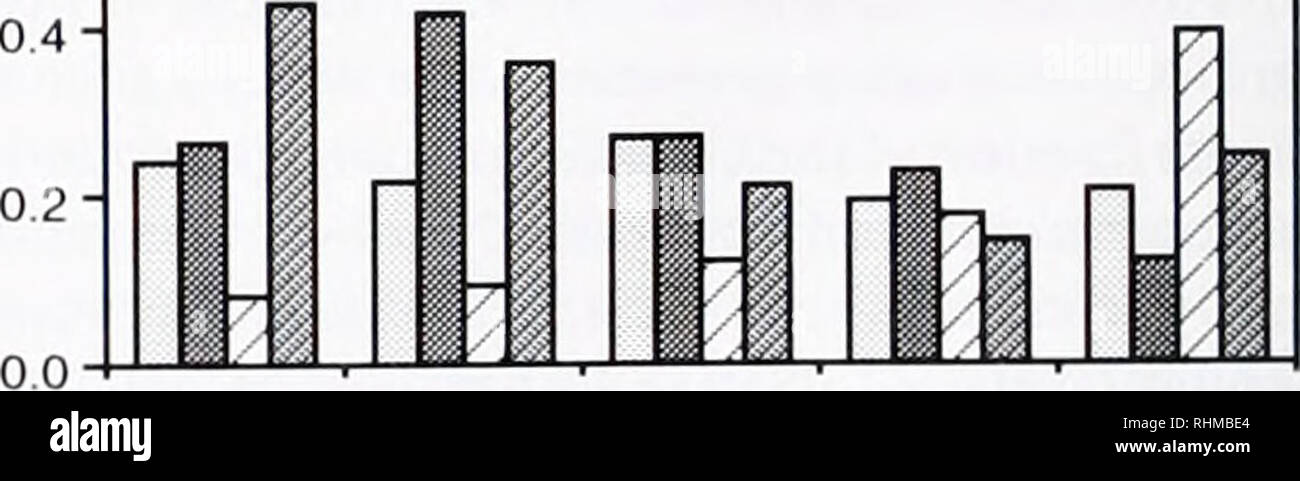 . Il bollettino biologico. Biologia; Zoologia; biologia; biologia marina. Pernottamento gratuito per bambini da 0 a 2 da 2 a 4 .4-.6 .6-.8 .8-1.0 e/Emax 1.0 CAT 0,8- 0,6- 0,4- 0,2- B. 0-.2 2-4 4-6 Ep/Epmax 6-8 .8-1.0 Figura 4. La proporzione di swashes in classi di dimensione scelta per l'equitazione di vongole. C/T è scelto onde diviso per il totale delle forme d'onda in un'onda categoria dimensioni. Ombreggiatura differenti indica 4 giorni separati di osservazioni. (A) la metà ol il più grande swashes (alta £/£""") sono cavalcato, considerando che le piccole swashes non sono quasi mai scelto. E/Emax escursione è diviso da massima ex- cursion osservato in un dato giorno. (B) la proporzione di scelto swashes avente Foto Stock