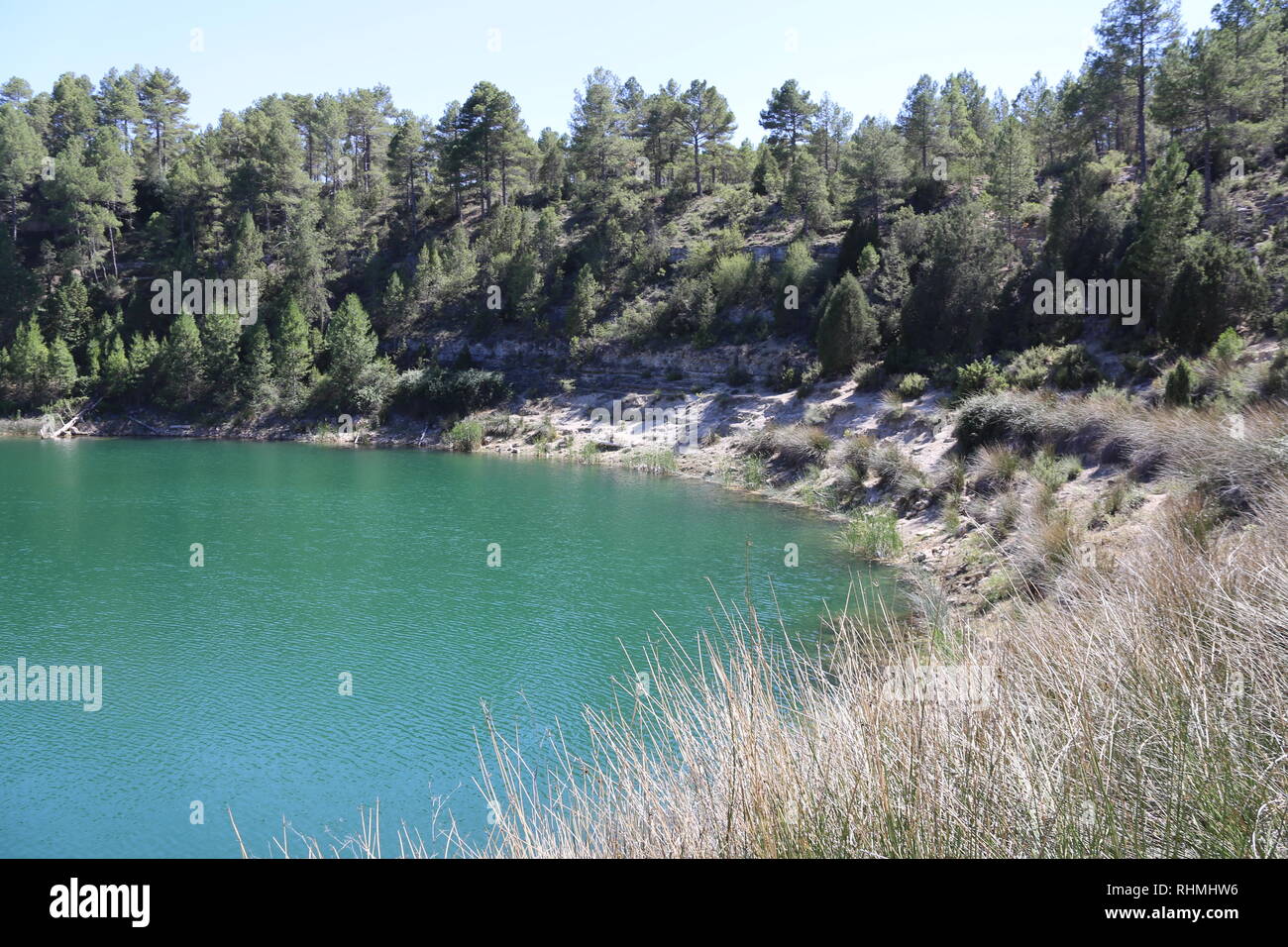 La laguna nel mezzo dell'area forestal in Spagna Foto Stock