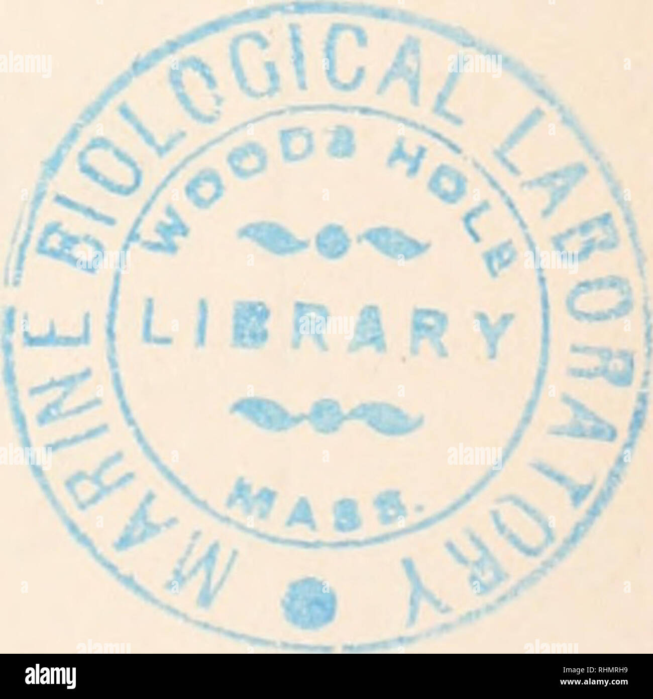 . Il bollettino biologico. Biologia; Zoologia; biologia; biologia marina. Studio sperimentale su mitosi 207 LINDSTROM, E. W., e K. Koos, 1931. Per citologia-indagini genetiche di un pomodoro aploide e diploide e tetraploide progenie. Am. Jour. Bot., 18: 398. LITS, F. J., 1934. Contributo a 1'Etude des cellulaires reazioni provoquees par la colchicina. Compt. Rend. Soc., Biol., 115: 1421. LITS, F. J., 1936. Recherches sur les reazioni lesioni et cellulaires provoquees par la colchicina. Arco, Ospiti int. de med. Exper., 11: 811. LUDFORD, R. J., 1936. L'azione delle sostanze tossiche dopo la divisio Foto Stock