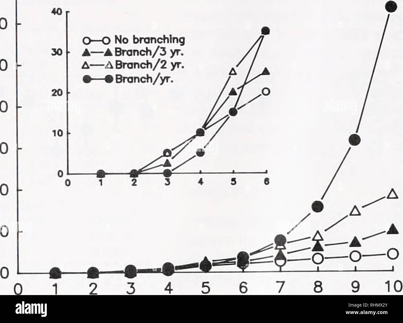 . Il bollettino biologico. Biologia; Zoologia; biologia; biologia marina. 276 D. A. BRAZEAU E H. R. LASKER 700 X o 600 S £ 500 cn c " 400 &LT;D'O ZJ -una o Q. filiale/anno. Età (anni) La figura 6. Aumento di tessuto riproduttiva per le diverse strategie di crescita compreso tra le colonie i cui rami mai bifurcate di colonie con rami che bifurcate anche orecchio. Il tasso di crescita e la quantità di tessuto riproduttivo seguire il modello di crescita di colonie di B/YI/IVHW inhcMinitm tasso di crescita è dipendente dalla punta (5,9 cm/suggerimento/anno). Tessuto riproduttiva è calcolato assumendo perdite di 5 cm alla base e ciascuna punta crescente. Foto Stock