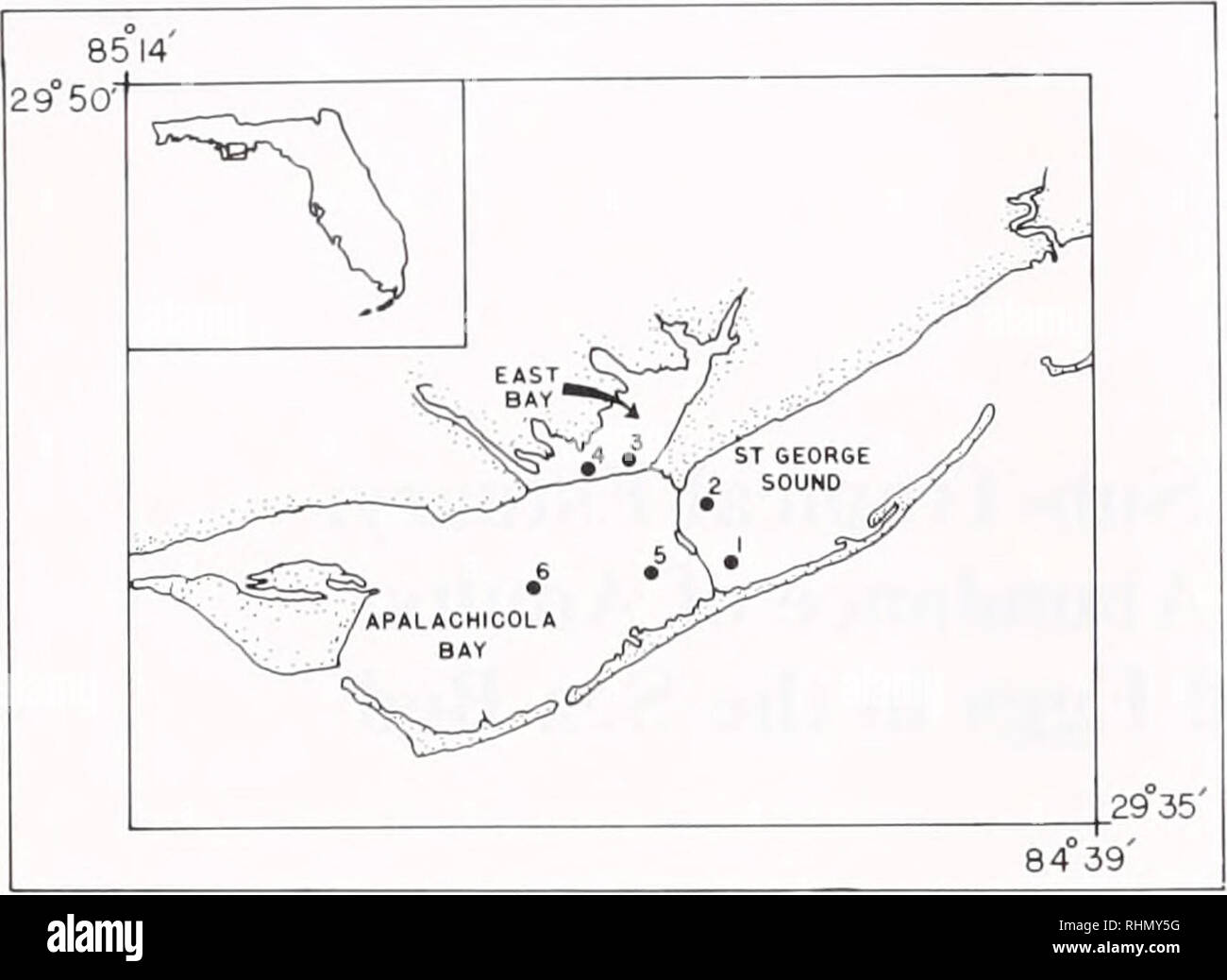 . Il bollettino biologico. Biologia; Zoologia; biologia; biologia marina. 270 N. H. MARCUS. La figura 1. Ubicazione dei siti di campionamento in Apalachicola estuario. Il programma di campionamento è stato avviato il 6 novembre 1989 e continuava a periodicità bimestrale attraverso il 27 agosto 1990. Due siti sono stati campionati in East Bay, Apalachicola Bay, e San Giorgio suono (Fig. 1). Le loro posizioni sono state scelte per rappresentare i diversi regimi di salinità che si verificano nell'estuario. Un completo protocollo di campionamento ha riguardato i seguenti: determinazione della temperatura di superficie, di superficie e di fondo, salinità e profondità di acqua; raccogliere Foto Stock