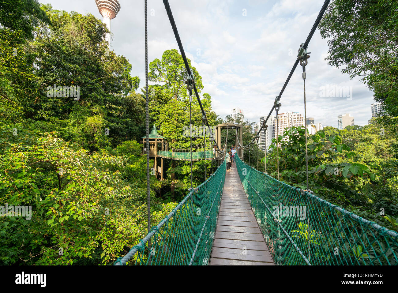 Vista della tettoia a piedi nella foresta di KL Eco Park di Kuala Lumpur in Malesia Foto Stock