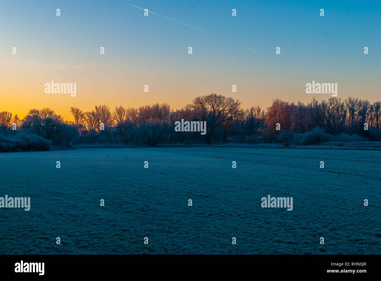 Il mondo congelato nelle prime ore del mattino durante il sunrise su un campo Foto Stock