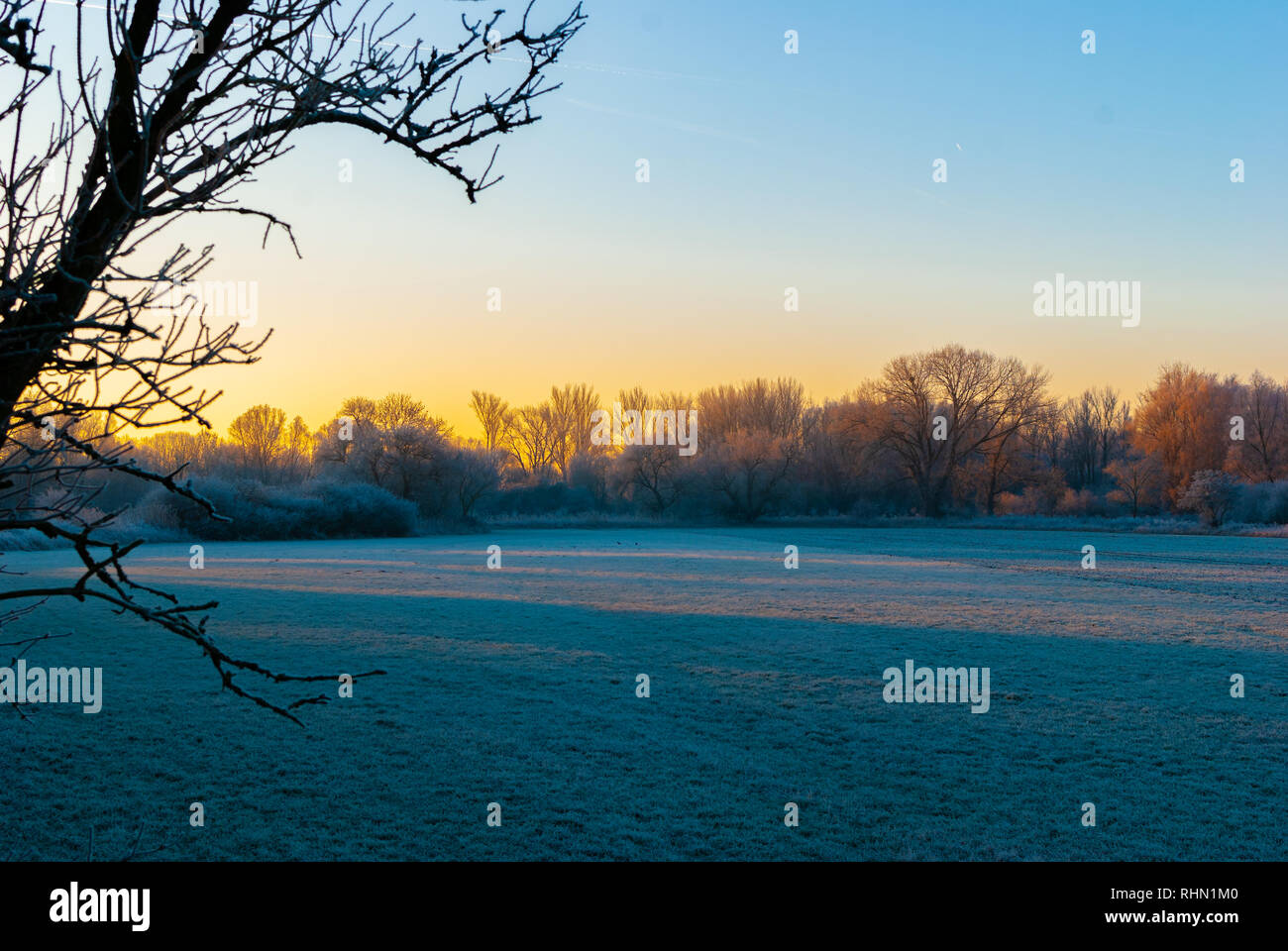 Il mondo congelato nelle prime ore del mattino durante il sunrise colorati su un campo in inverno Foto Stock