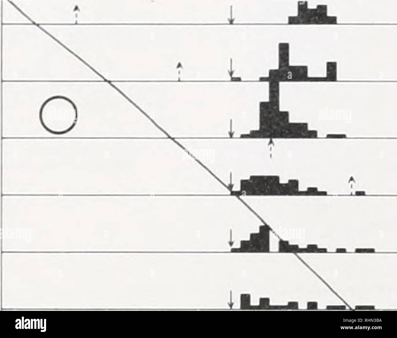 . Il bollettino biologico. Biologia; Zoologia; biologia; biologia marina. 318 MASAYUKI SAIGUSA ora del giorno I 5 t 17 18 19 20 21 22 23 1975 Jun.21 25. 30 lug. 1 17 18 24 5 dehaani • - -. Si prega di notare che queste immagini vengono estratte dalla pagina sottoposta a scansione di immagini che possono essere state migliorate digitalmente per la leggibilità - Colorazione e aspetto di queste illustrazioni potrebbero non perfettamente assomigliano al lavoro originale. Laboratorio biologico marino (foro di legni, messa. ); Laboratorio biologico marino (foro di legni, messa. ). Rapporto annuale 1907/08-1952; Lillie, Frank Rattray, 1870-1947; Moore, Carl Richard, 1892-; Redfi Foto Stock