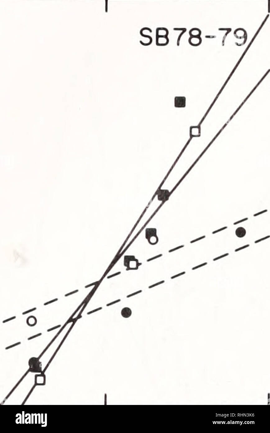 . Il bollettino biologico. Biologia; Zoologia; biologia; biologia marina. 306 ROGER I. E. NEWELL ET AL. 1.0 o o 0,8 a: u  u 0,6 2 i&GT; o 0.4 LJ ul 0,2 CD. SB 77-78 SHIN78 'SHin77 2 ho trascorso 3 gradi-giorni (xlO3) nella figura 7. Di regressione dei minimi quadrati righe riguardanti le condizioni di riproduzione (GVF) alla temperatura, come misurato mediante gradi-giorni, a Stony Brook (SB; D, •) e Shinnecock (Shin: O, •), negli anni indicati. Il coefficiente di determinazione (r2) per il montato linee sono d = 0,96; • = 0,86; • = 0,89; O = 0,98. perate specie depone le uova in precedenza e per un più lungo periodo nella parte meridionale Foto Stock