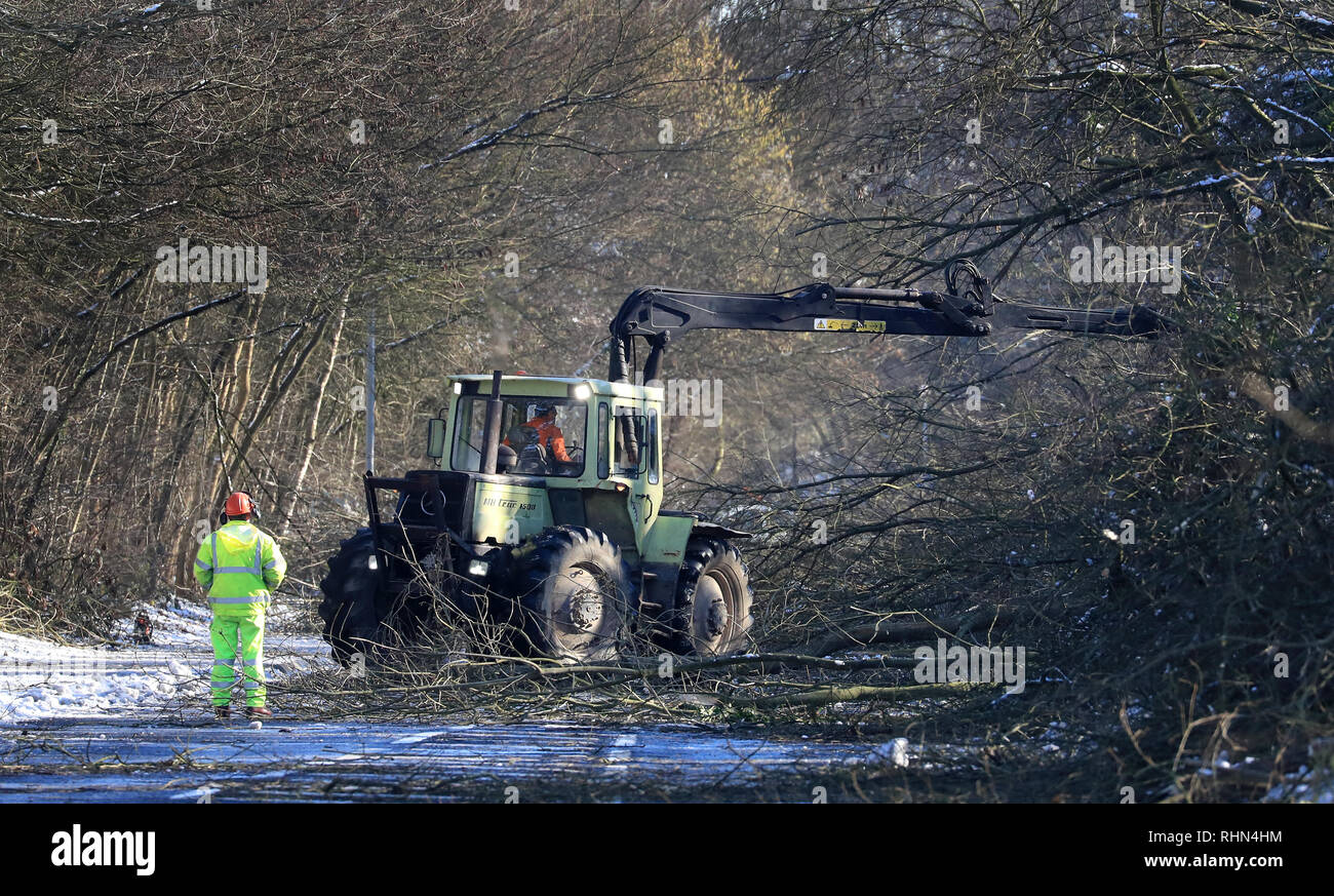 Tree chirurghi rimangono la cancellazione di una strada in Walderslade, Kent, che è stata chiusa in quanto il venerdì notte dopo la nevicata ha portato giù 200 alberi come Inghilterra ha visto la notte più freddi dell'inverno così lontano come temperature burattati in tutto il Regno Unito. Foto Stock