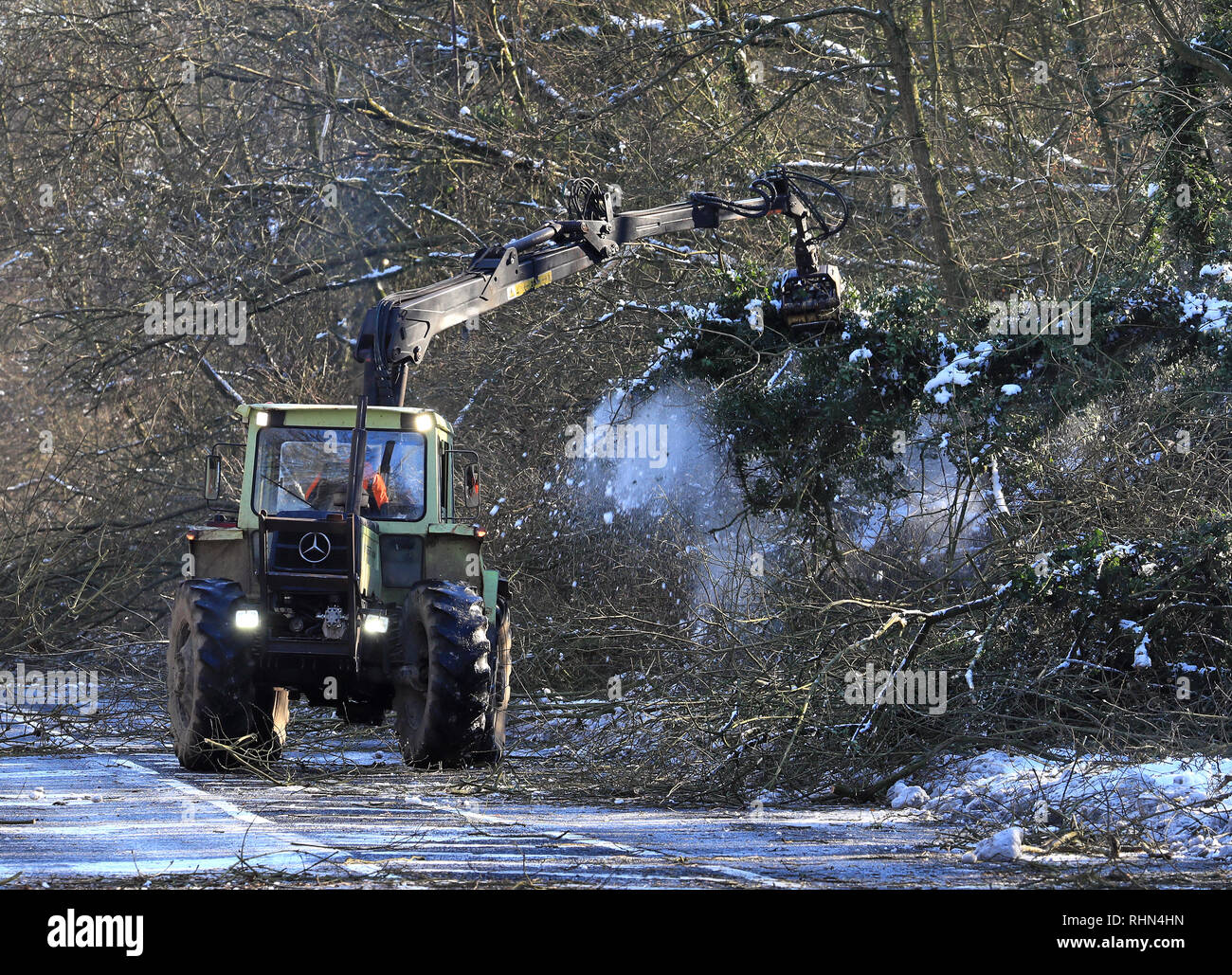 Tree chirurghi rimangono la cancellazione di una strada in Walderslade, Kent, che è stata chiusa in quanto il venerdì notte dopo la nevicata ha portato giù 200 alberi come Inghilterra ha visto la notte più freddi dell'inverno così lontano come temperature burattati in tutto il Regno Unito. Foto Stock