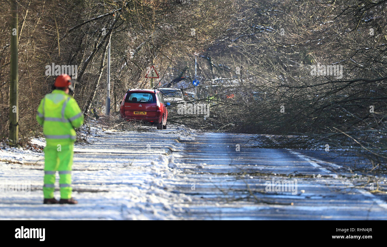 Tree chirurghi rimangono la cancellazione di una strada in Walderslade, Kent, che è stata chiusa in quanto il venerdì notte dopo la nevicata ha portato giù 200 alberi come Inghilterra ha visto la notte più freddi dell'inverno così lontano come temperature burattati in tutto il Regno Unito. Foto Stock