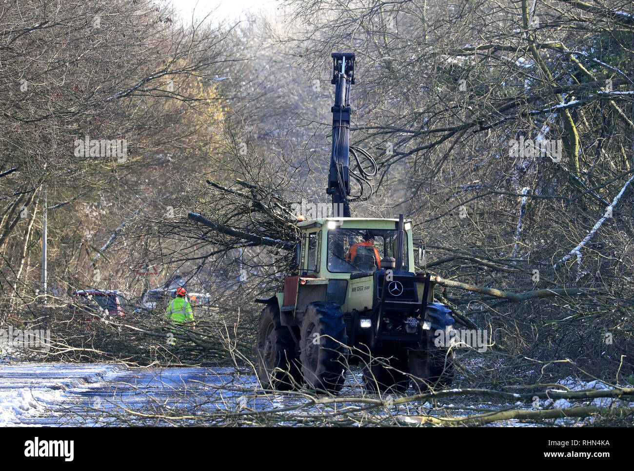 Tree chirurghi rimangono la cancellazione di una strada in Walderslade, Kent, che è stata chiusa in quanto il venerdì notte dopo la nevicata ha portato giù 200 alberi come Inghilterra ha visto la notte più freddi dell'inverno così lontano come temperature burattati in tutto il Regno Unito. Foto Stock