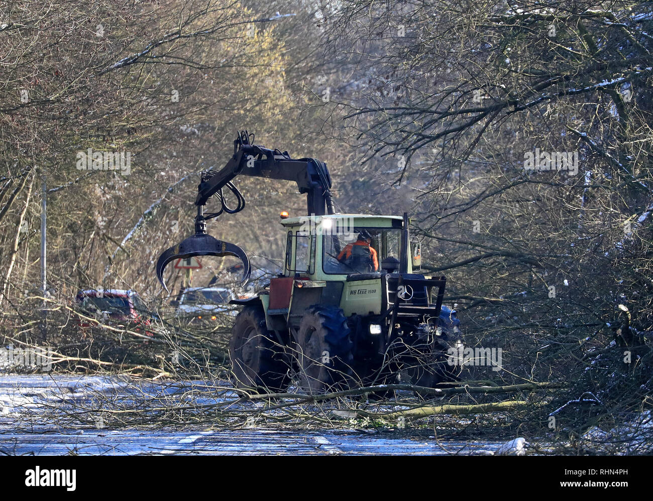 Tree chirurghi rimangono la cancellazione di una strada in Walderslade, Kent, che è stata chiusa in quanto il venerdì notte dopo la nevicata ha portato giù 200 alberi come Inghilterra ha visto la notte più freddi dell'inverno così lontano come temperature burattati in tutto il Regno Unito. Foto Stock