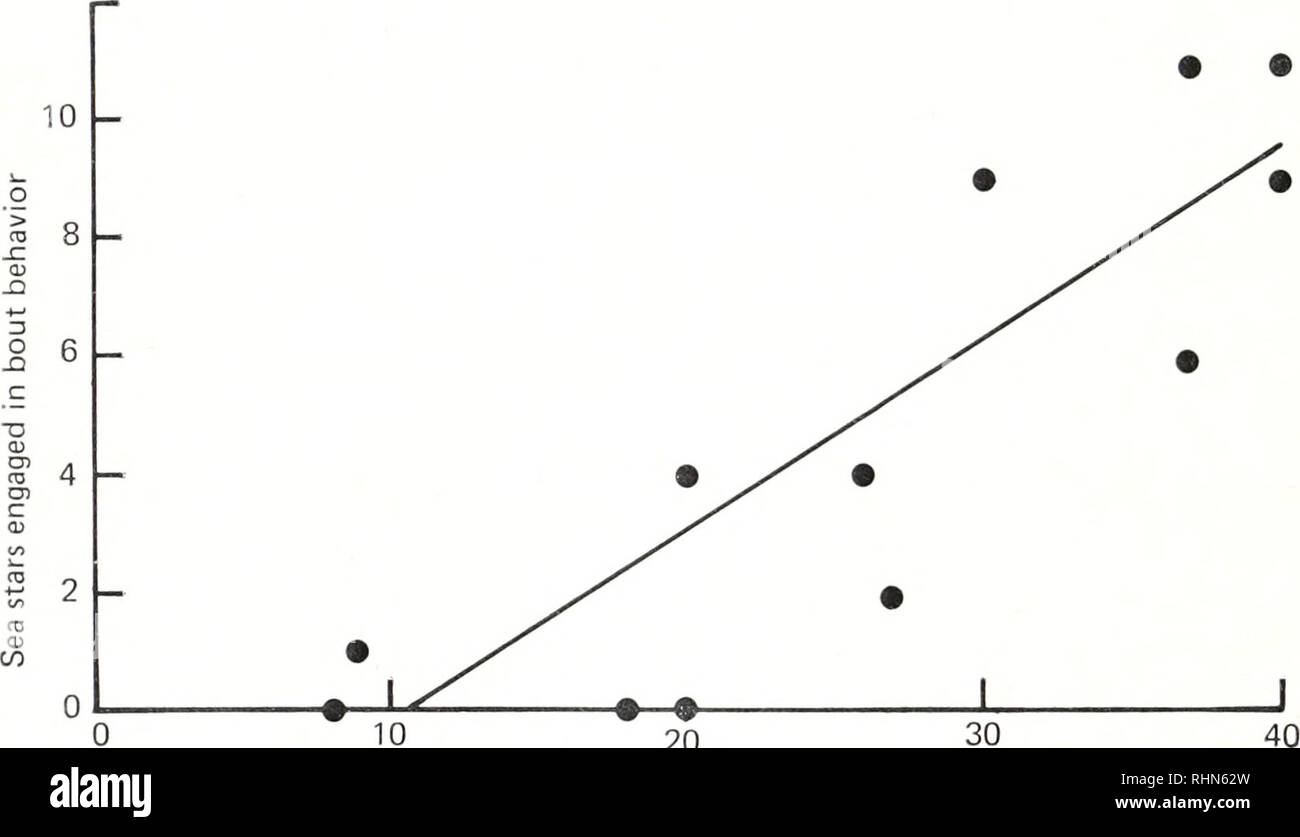 . Il bollettino biologico. Biologia; Zoologia; biologia; biologia marina. 492 DON R. WOBBER TABELLA III prova al bersaglio risultati che mostrano la dispersione di tre quantità variabile gruppi di prova di Patiria attorno ad un esca fisso dopo 22 minuti. Le cifre tra parentesi rappresentano stelle di mare che non sono stati su esca ma erano impegnati in combattimento. Test 1 Numero di stelle di mare Distribuzione (distanza dall'esca) Totale non su esca % in combattimento non su esca sulla esca da 0 a 20 cm (non su esca) 20 a 40 cm 40 a 60 cm 60 a 80cm oltre 80 cm 10 6 1 2 . - - 1 4 75 (1) (2) (?) (3) 2 18 5 4 4 2 - 3 13 77 (4) (4) (2) (?) (10) 3 26 7 3 4 5 2 5 1Q 63 Foto Stock