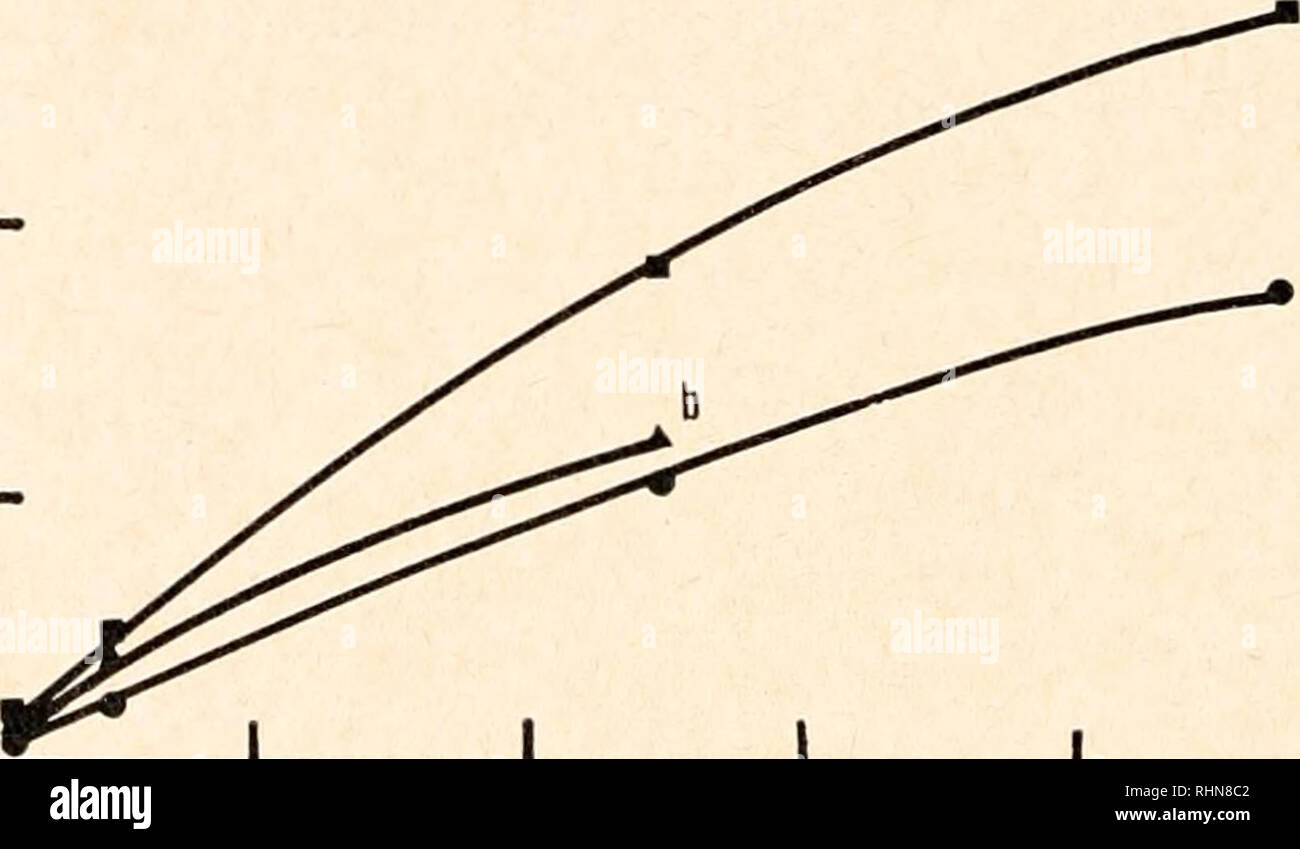 . Il bollettino biologico. Biologia; Zoologia; biologia; biologia marina. 320 L. H. CHAPPELL, C. ARME E C. P. leggere assorbimento palmitato sono mostrati in figura 5. Variando le concentrazioni da 0,025 mM a 2.0 mM desoxycholate non ha alterato il palmitato assorbimento, ma le concentrazioni di sale di bile in eccesso di 2,0 mM portato su un duplice aumento del trasporto di palmitato. Gli effetti di un aumento della concentrazione di desoxycholate supera i 3 mM non ha potuto essere esaminata a causa della formazione di un precipitato insolubile. L'uso di un 10 mM. Soluzione di riserva di palmitato di al fine di ampliare la gamma di concentrat Foto Stock