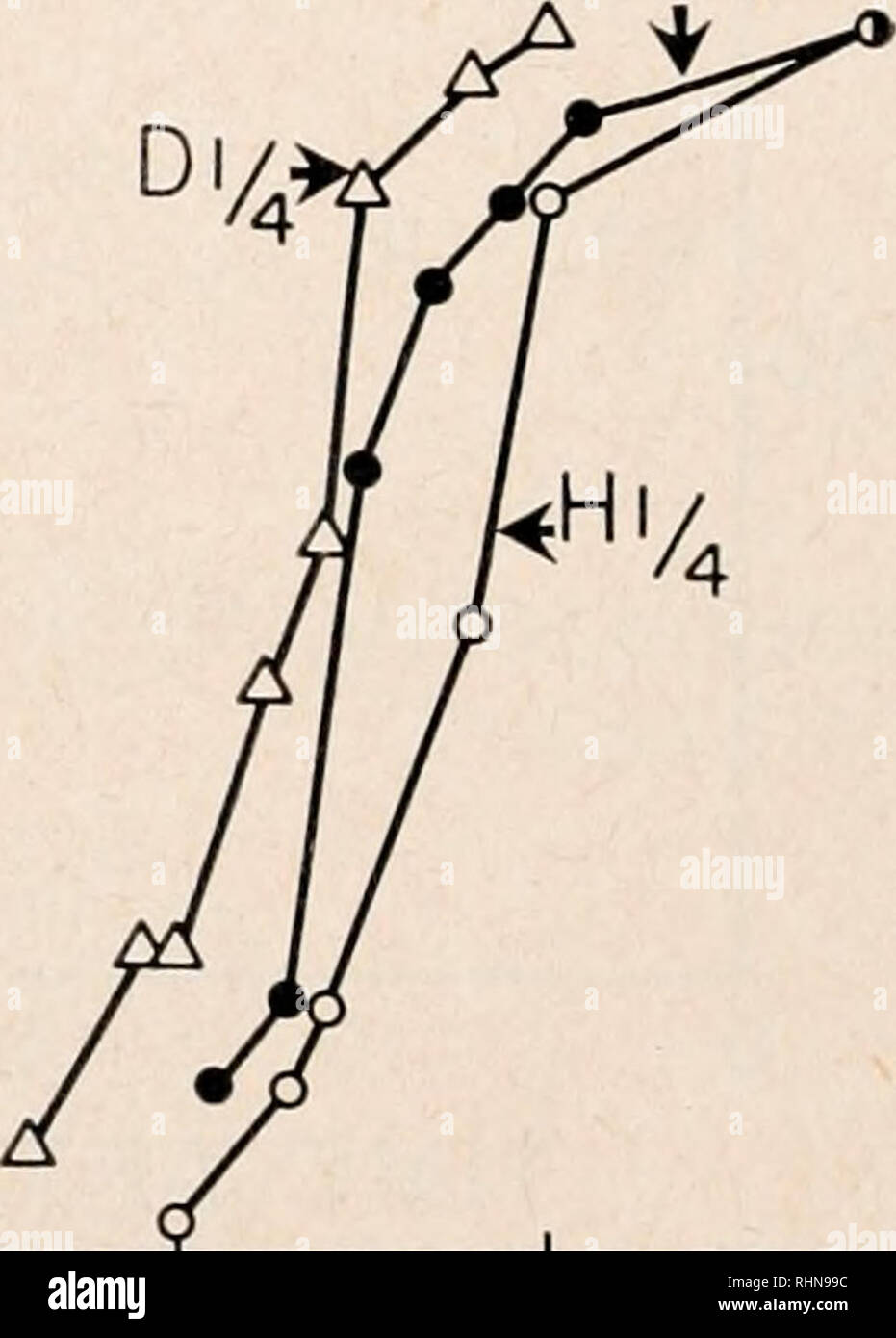 . Il bollettino biologico. Biologia; Zoologia; biologia; biologia marina. Seconda divisione dw. 40 50 60 70 80 90 100 tempo dopo la fecondazione (in minuti) la figura 3. Primo e secondo i tempi di divisione di cellule diploidi uova intere e di cellule diploidi e trimestre aploide-uova; cellule diploidi uova intere (Dw, cerchi chiusi); trimestre diploide-UOVA (di/4, i triangoli aperti) ; trimestre aploide uova (Hi/4, cerchi aperti). Né la ploidia né il volume cellulare è apparso per influenzare la durata del secondo ciclo mitotico. Un test estremo coinvolti confronto tra cellule diploidi cellule intere con aploide diploide e quarto di dimensioni uova. I tempi del 50% di abete Foto Stock