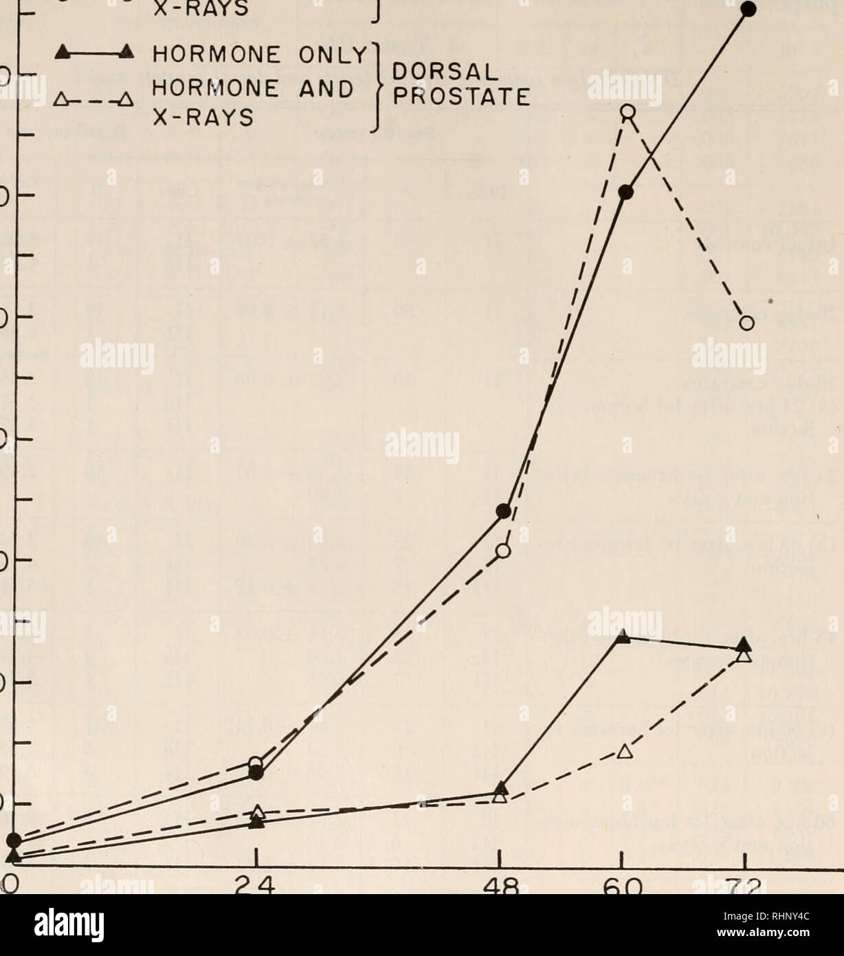. Il bollettino biologico. Biologia; Zoologia; biologia; biologia marina. 72 JOHN H. D. BRYAN E JOHN W. GOWEN 1500 1300 I 100 o o 900 700 co CO CO o 500 300 100 • • ORMONE ONLYJSEM|NAL ormone e fVESICLE O O A A RAGGI X solo ormone ormone e raggi X prostata dorsale. 24 48 il tempo in ore 60 72 figura 1. La risposta mitotica della vescicola seminale e dorsale epitelio prostatico a tempi differenti dopo irraggiamento e/o stimolazione ormonale. tained dal " plug " metodo di Swift (1950); tuttavia, poiché la maggior parte dei nuclei ellissoidale erano piuttosto che sferica, il derivato di formula b Foto Stock