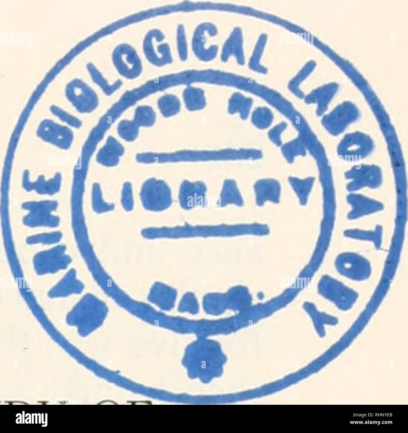 . Il bollettino biologico. Biologia; Zoologia; biologia; biologia marina. Un istologico CYTOPHOTOMETRIC E STUDIO DEGLI EFFETTI DEI RAGGI X sul mouse testicolo 1 JOHN H. D. BRYAN E JOHN W. GOWEN Dipartimento di Genetica, Iowa State College, Ames, Iowa studi di Bergonie e Tribondeau (1904), Regaud e Blanc (1906) e altri focalizzato l attenzione sull irraggiamento cambiamenti indotti negli organi riproduttivi e dei gameti di vari organismi. Le loro scoperte indicano che gli spermatogoni sono la maggior parte x-ray-componenti sensibili dell'epitelio seminifero e che, seguire- ing la diminuzione del numero di sper Foto Stock