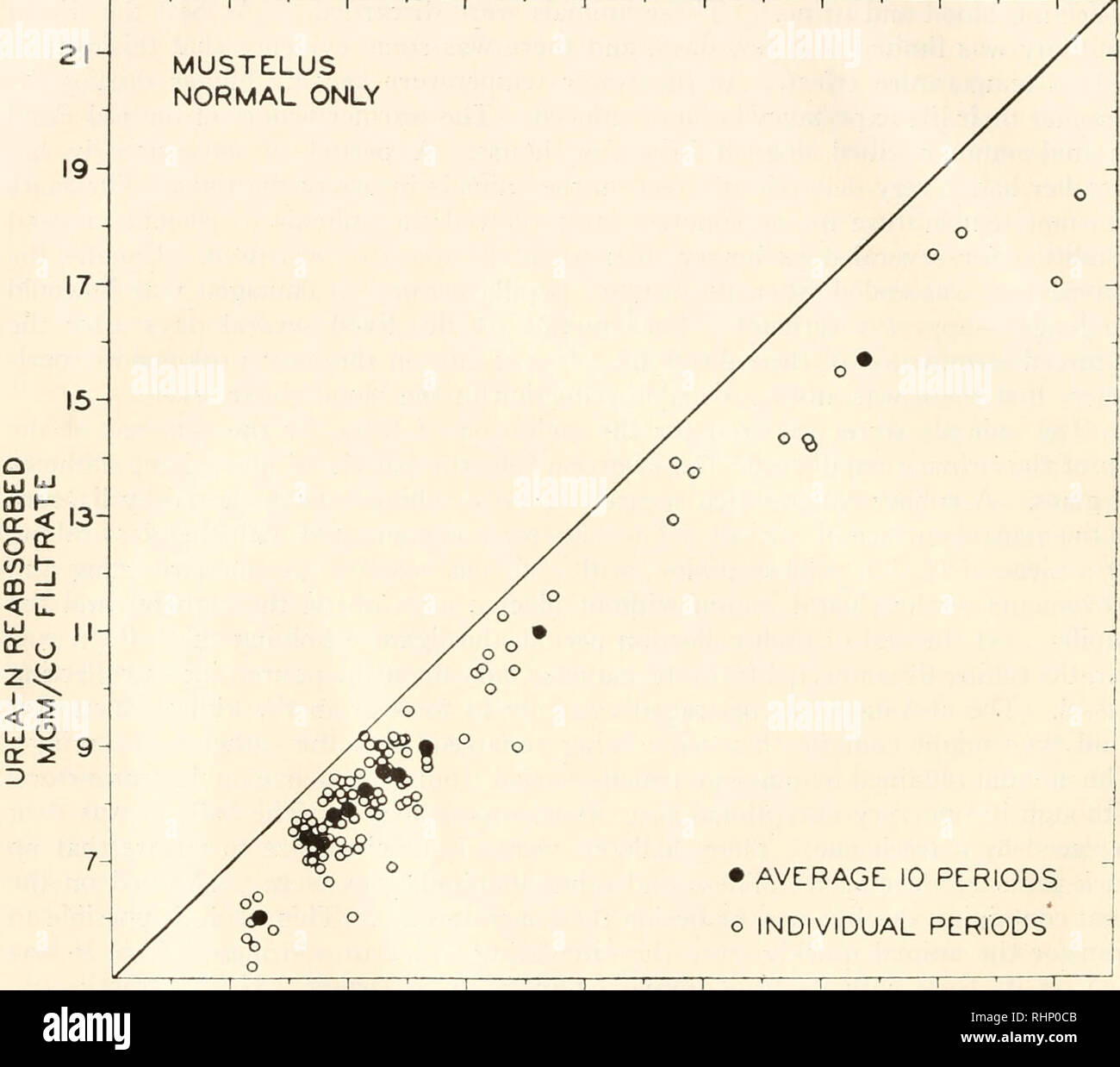 . Il bollettino biologico. Biologia; Zoologia; biologia; biologia marina. 48 RUDOLF T. KEMPTON 50% soluzione in acqua distillata, preparata di fresco a temperatura ambiente. In alcuni casi questo dosaggio è stato ripetuto due volte, dando un totale di amministrazione di urea di 15 grammi di urea per chilogrammo di peso corporeo. Il sangue è stato raccolto mediante siringa in quantità di 10 cc., ed è stata trasferita in una volta sola in provette contenenti 0,1 mgm. ossalato di potassio, precipitate mediante essiccamento da 21- MUSTELUS NORMALE SOLO • media 10 periodi o singoli periodi. 700 900 1100 1300 1500 1700 1900 2100 urea plasmatica-N (MGM%) la figura 1. Relatio Foto Stock