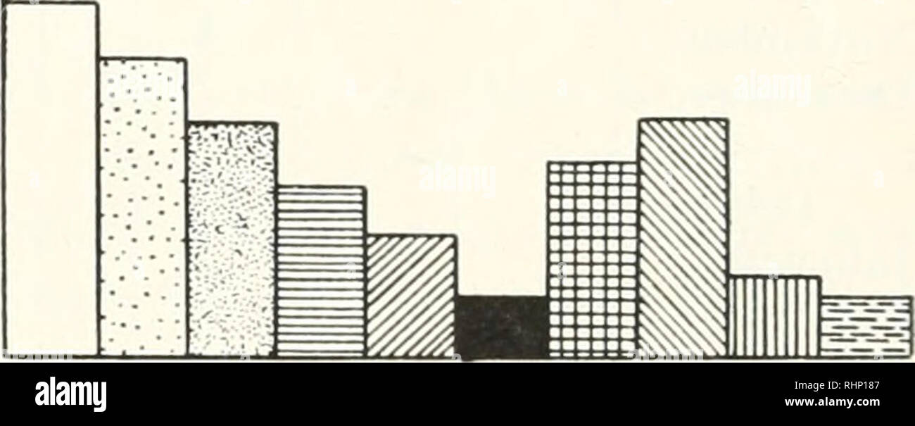 . Il bollettino biologico. Biologia; Zoologia; biologia; biologia marina. JUN N=91. JLY N=159 AUG N=197. Si prega di notare che queste immagini vengono estratte dalla pagina sottoposta a scansione di immagini che possono essere state migliorate digitalmente per la leggibilità - Colorazione e aspetto di queste illustrazioni potrebbero non perfettamente assomigliano al lavoro originale. Laboratorio biologico marino (foro di legni, messa. ); Laboratorio biologico marino (foro di legni, messa. ). Rapporto annuale 1907/08-1952; Lillie, Frank Rattray, 1870-1947; Moore, Carl Richard, 1892-; Redfield, Alfred Clarence, 1890-1983. Foro di legni, messa. : Laboratorio biologico marino Foto Stock