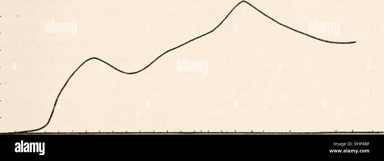 . Il bollettino biologico. Biologia; Zoologia; biologia; biologia marina. Gli enzimi digestivi di CALAXUS 463 lipasi di etile Inityrate metodo precedentemente utilizzato hy me (1933) è stata adottata, ma senza aggiunta di acqua. Sotto le condizioni di esperimento, il banco colorata di rosa solo dopo un paio di giorni, ma entro la fine della settimana, la differenza tra la sperimentali e dei tubi di controllo era estremamente suggestivo. Alginasi Dr. Selman A. Waksman e i suoi soci sono diventati interessati all'anidride polymannuronic noto come acido alginico. Questo (princi- pally in forma di i sali di Ca e Mg) può rendere fino Foto Stock