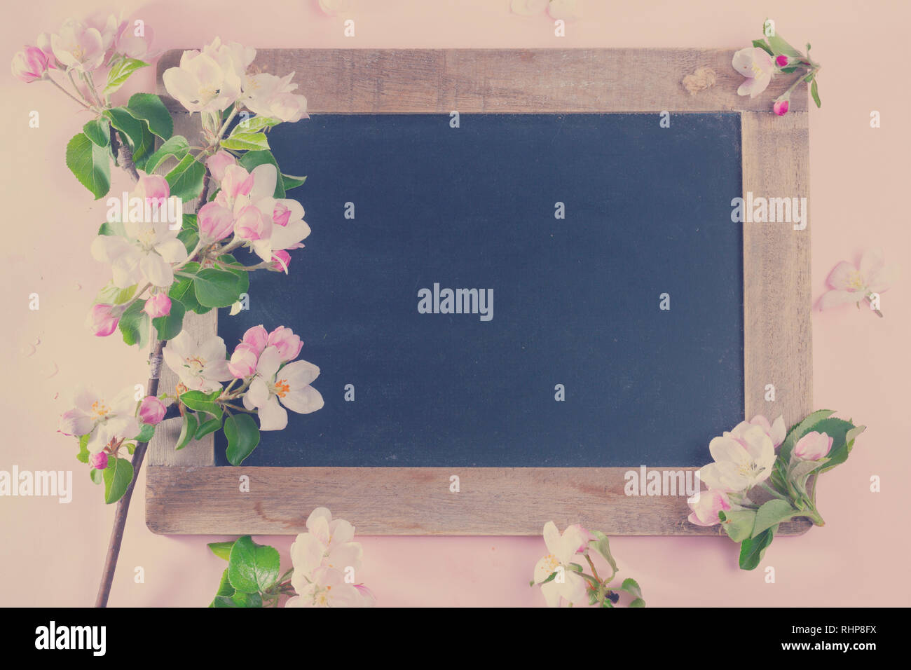 Molla albero di fiori Foto Stock