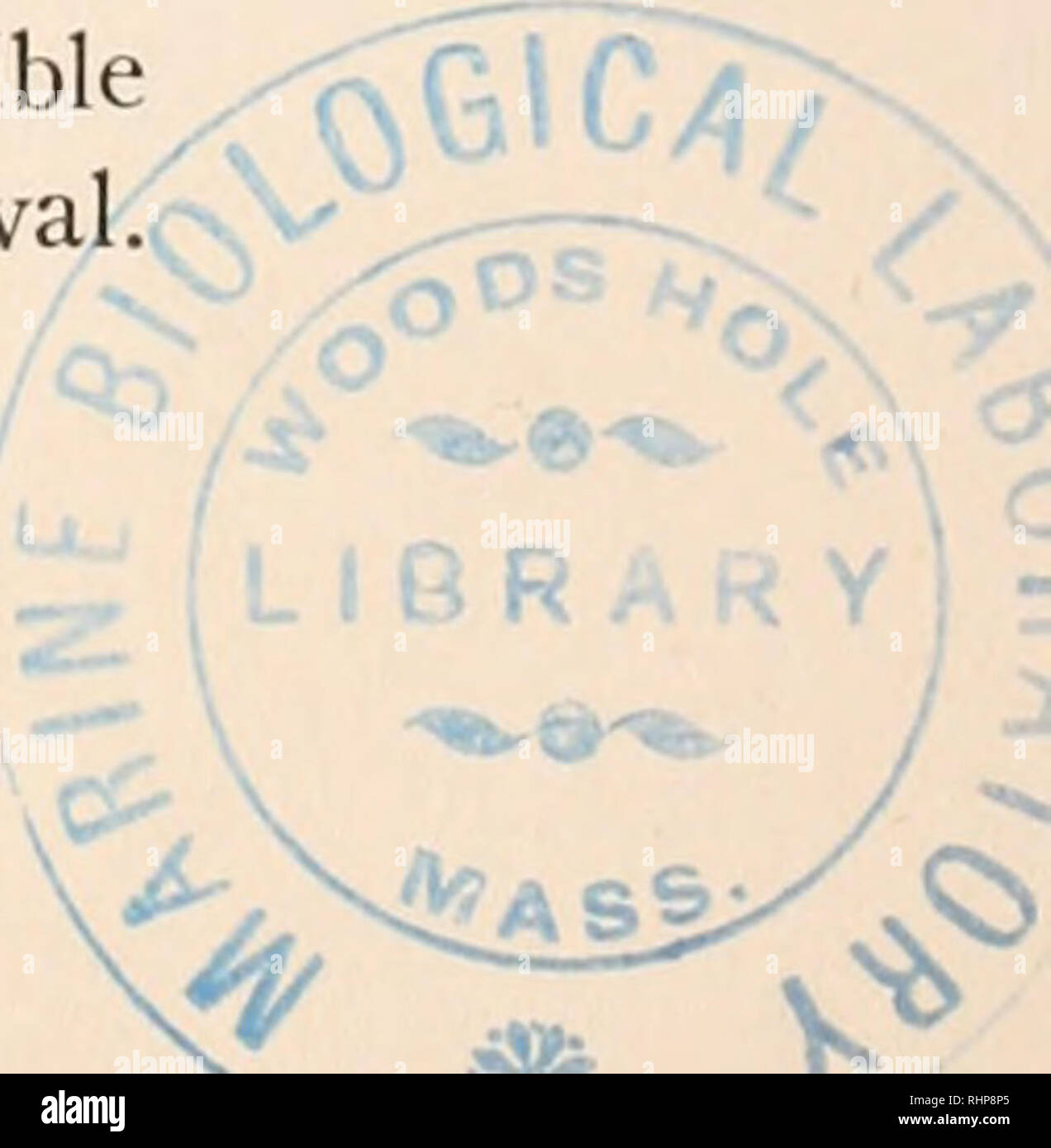 . Il bollettino biologico. Biologia; Zoologia; biologia; biologia marina. Effetti della mancanza di ossigeno il paramecio 351 vival, davvero ottenuta strettamente le condizioni anossiche; ed è chiaro che il paramecio può fare qualche uso di ossigeno a pressioni parziali al di sotto di 1 mm. Sembra inoltre in dubbio se Juday (1909) avrebbe de- tected ossigeno in tali basse concentrazioni in fondo le acque del lago Mendota (Wisconsin), dove egli ha sostenuto che il paramecio ha vissuto un- aerobicamente. Tuttavia, è ancora possibile che il paramecio potrebbe essere trovato per sopravvivere senza ossigeno per lunghi periodi in condizioni sperimentali se mi Foto Stock