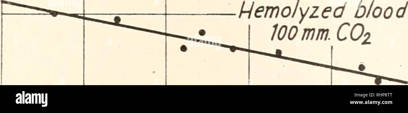 . Il bollettino biologico. Biologia; Zoologia; biologia; biologia marina. HB-O, l'EQUILIBRIO NEL SANGUE DI TAUTOG 317 ridotto, e il totale di CC&GT;2 noti in queste condizioni da extra- polating sperimentali di Haldane curva a 0 per cento O2-saturazione, uno di composti ossigenati del sangue nelle fasi di dieci per cento, determinando per ogni fase la quantità di BHCO3 rilasciato da ciascuna delle Oo-combinando componenti. La base totale rilasciato, BHCOs", sottratto dal 30. 9 d4 2o &lt; o Hemolyzed sangue. lOOmm.COz. Si prega di notare che queste immagini vengono estratte dalla pagina sottoposta a scansione di immagini che possono essere state digitalmente en Foto Stock