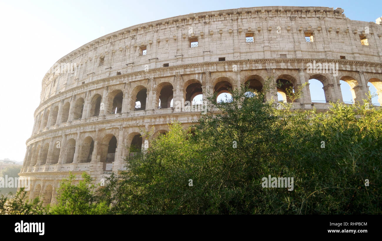 Il Colosseo romano in mattinata a Roma, Italia Foto Stock