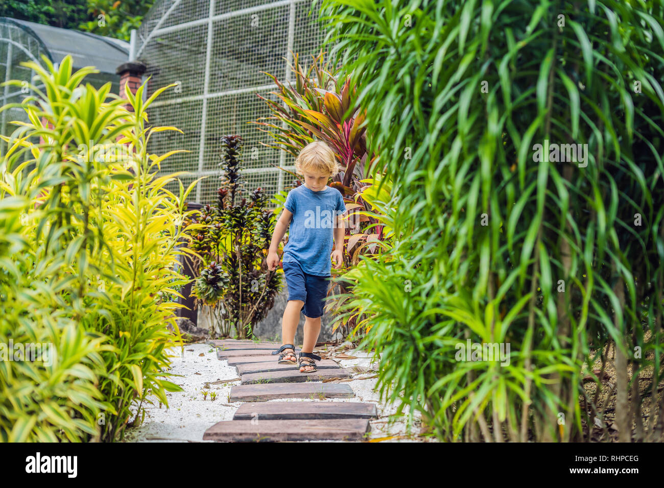 Il ragazzo è a piedi lungo un percorso in un parco tropicale Foto Stock