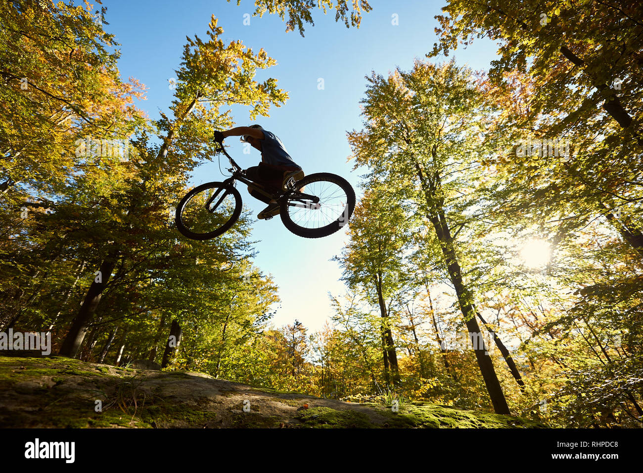 Basso angolo vista di atleta ciclista salto sulla bicicletta di prova, professional rider rendendo trucco acrobatico sul grosso masso nella foresta in estate giornata di sole. Concetto di sport estremo che uno stile di vita attivo Foto Stock