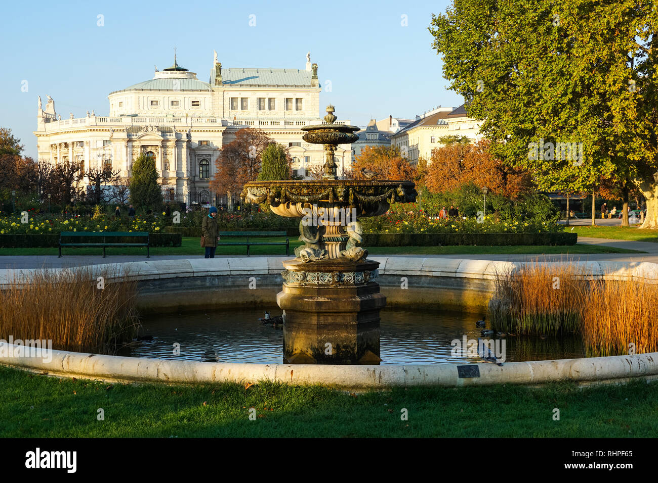 Fontana nel parco Volksgarten e giardino e Burgtheater (austriaco Teatro nazionale), Vienna, Austria Foto Stock