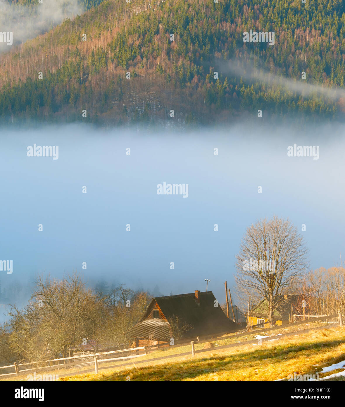 Mattina di sole paesaggio con capanna in legno nelle montagne boscose coperta di nebbia, dei Carpazi, Ucraina Foto Stock