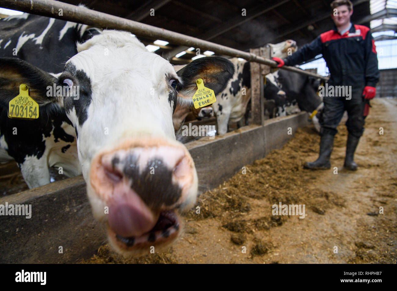 Hogmanay di Edimburgo processione aux flambeaux Foto Stock