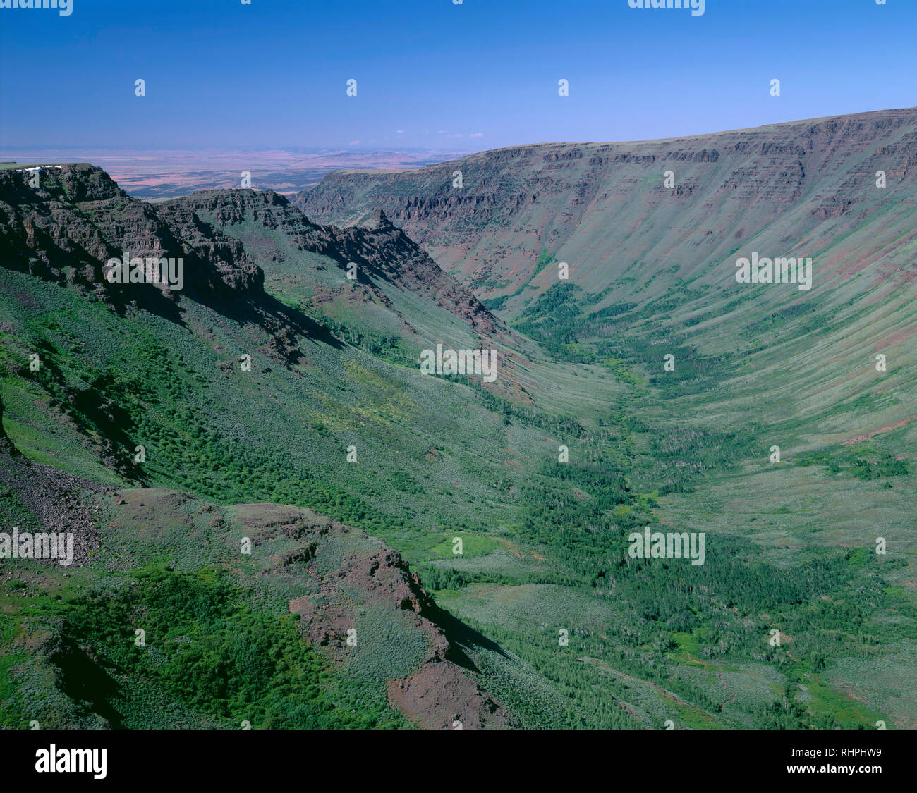 Stati Uniti d'America, Oregon, Steens Mountain Area di protezione, vista verso nord-ovest nella gola Kiger con inizio estate vegetazione greening brevemente. Foto Stock