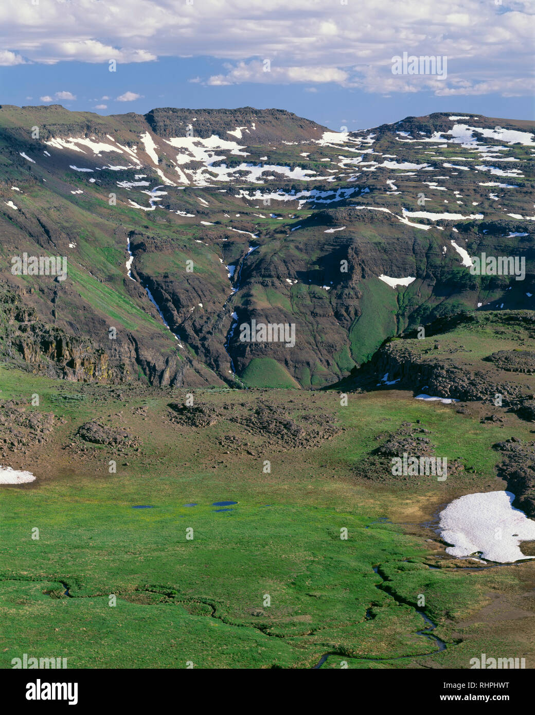 Stati Uniti d'America, Oregon, Steens Mountain Area di protezione tundra alpina verdi brevemente ai primi di luglio con la testa del Grande Gola indiano in distanza. Foto Stock