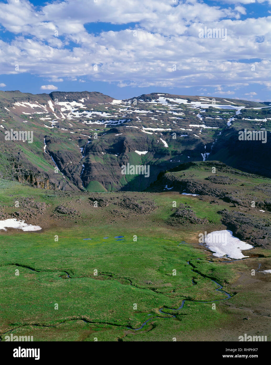 Stati Uniti d'America, Oregon, Steens Mountain Area di protezione tundra alpina verdi brevemente ai primi di luglio con la testa del Grande Gola indiano in distanza. Foto Stock