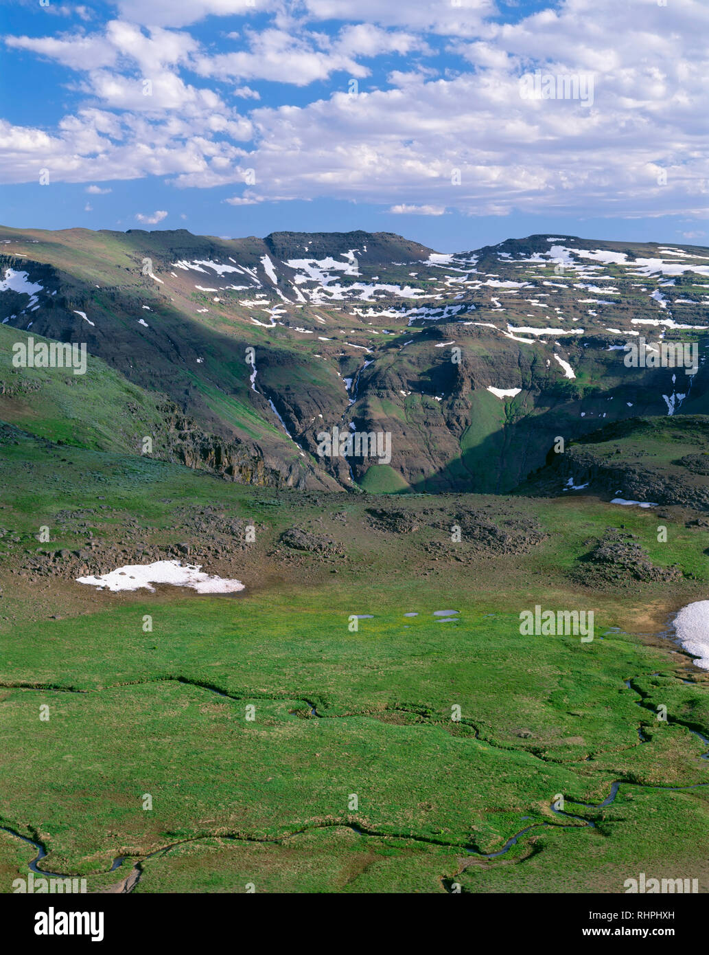 Stati Uniti d'America, Oregon, Steens Mountain Area di protezione tundra alpina verdi brevemente ai primi di luglio con la testa del Grande Gola indiano in distanza. Foto Stock