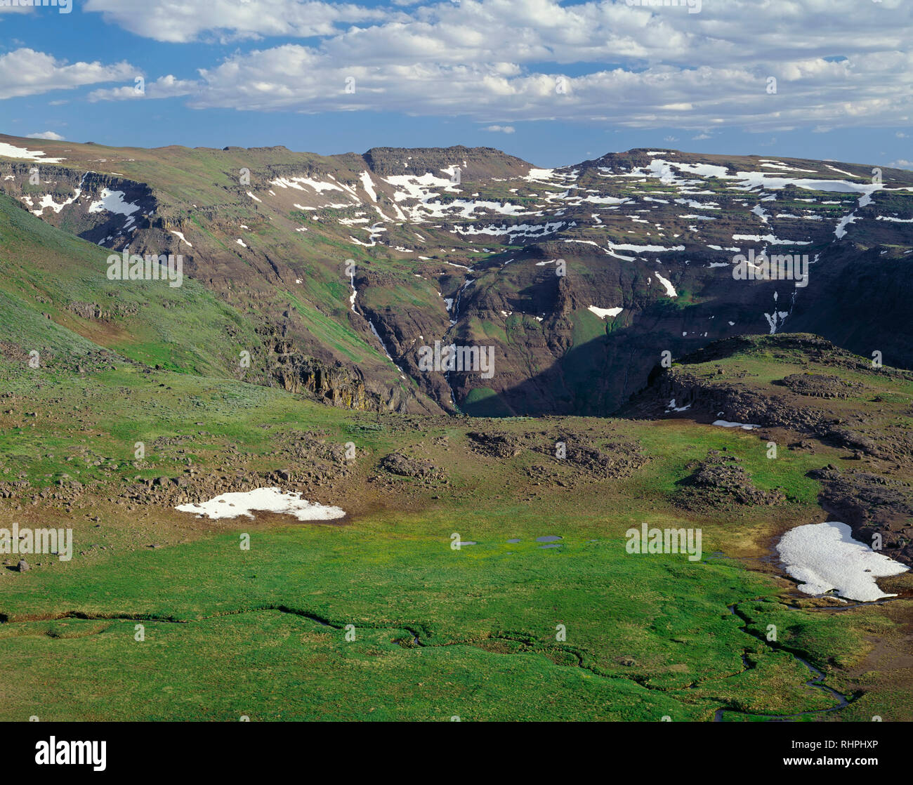 Stati Uniti d'America, Oregon, Steens Mountain Area di protezione tundra alpina verdi brevemente ai primi di luglio con la testa del Grande Gola indiano in distanza. Foto Stock