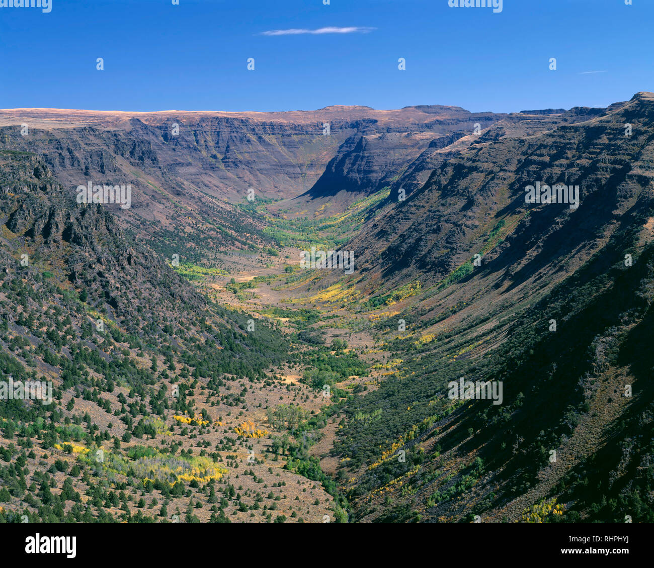 Stati Uniti d'America, Oregon, Steens Mountain Area di protezione vista da est della Grande Gola indiano con sparsi i colori autunnali di vacilla aspen sul fondovalle. Foto Stock