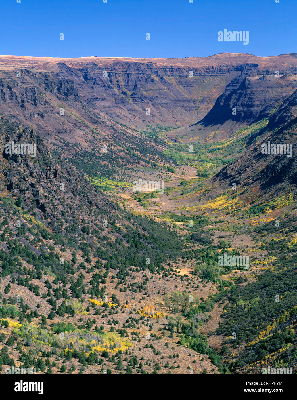 Stati Uniti d'America, Oregon, Steens Mountain Area di protezione vista da est della Grande Gola indiano con sparsi i colori autunnali di vacilla aspen sul fondovalle. Foto Stock