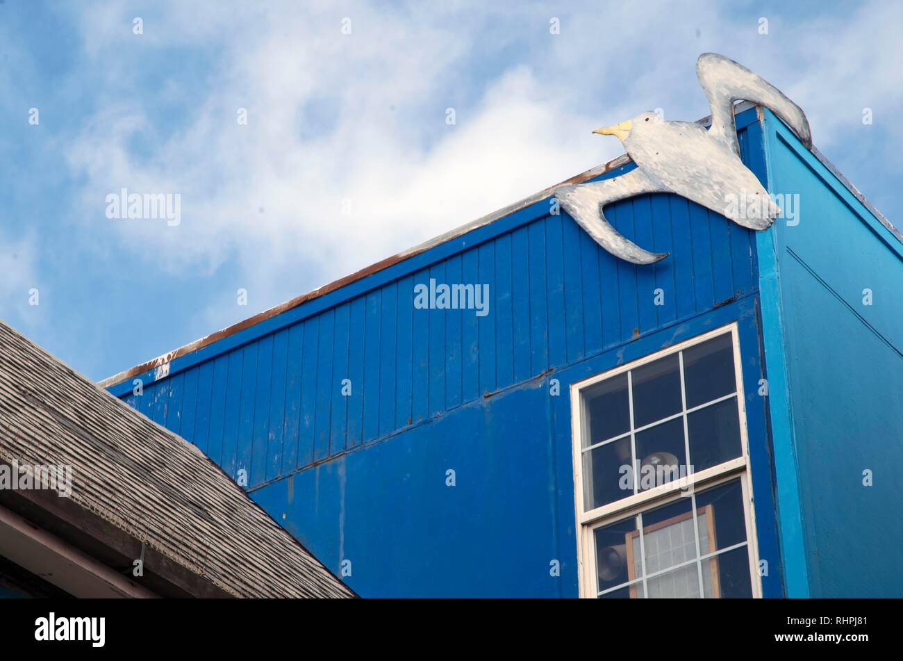 Ci sono molte strane case a San Francisco, ma questo lungo Ocean Beach ha un gabbiano di legno attaccato al suo tetto. Foto Stock