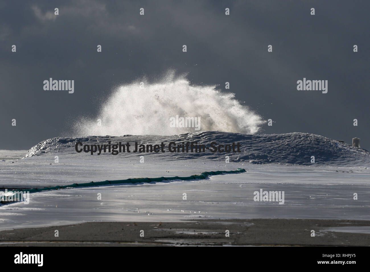 Snowy Owl che decollare post Foto Stock